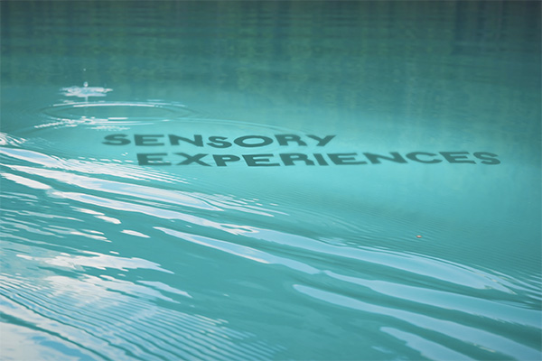 Sensory Experiences